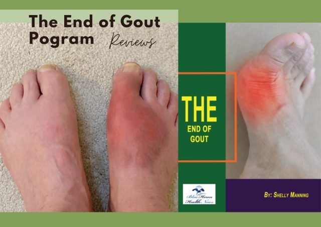 End of Gout reviews